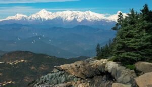 Binsar
